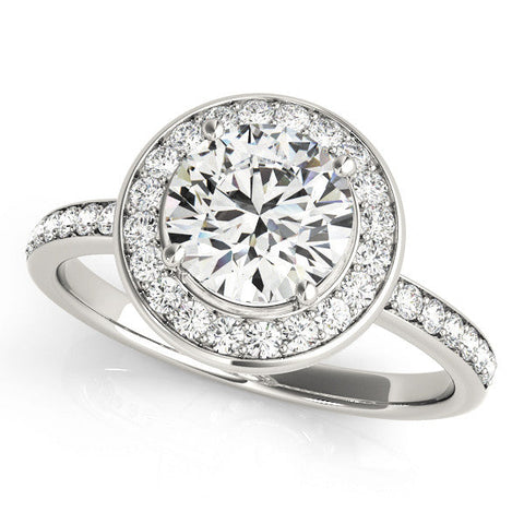 Platinum Round Halo Diamond Pave Band with Four-Prong Setting