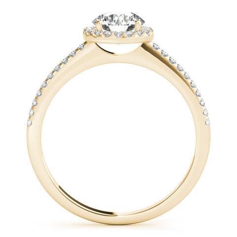 Yellow gold Halo Round Diamond Pavé Band Four-Prong Ring