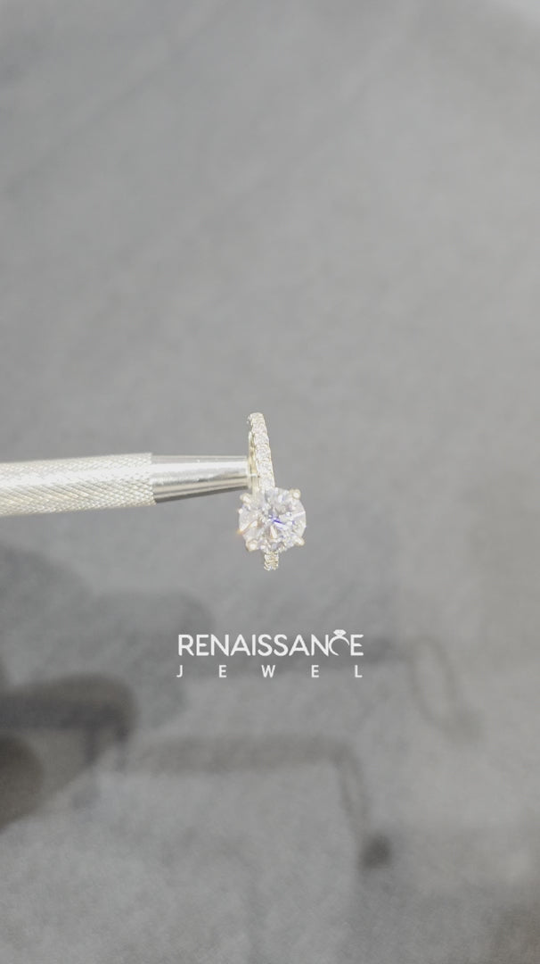 alt-tag